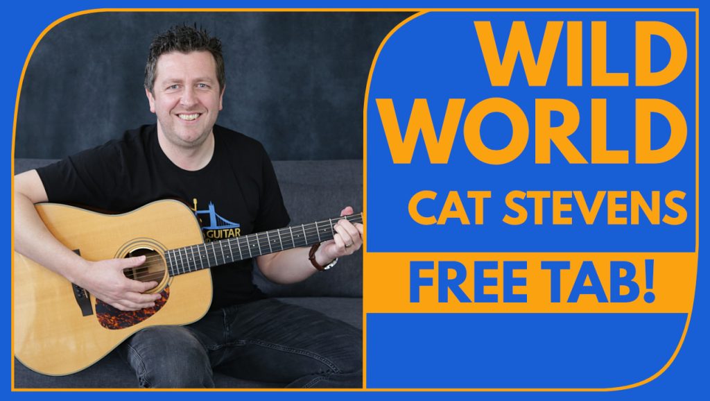 Wild World - Guitar Lesson - How To Play
