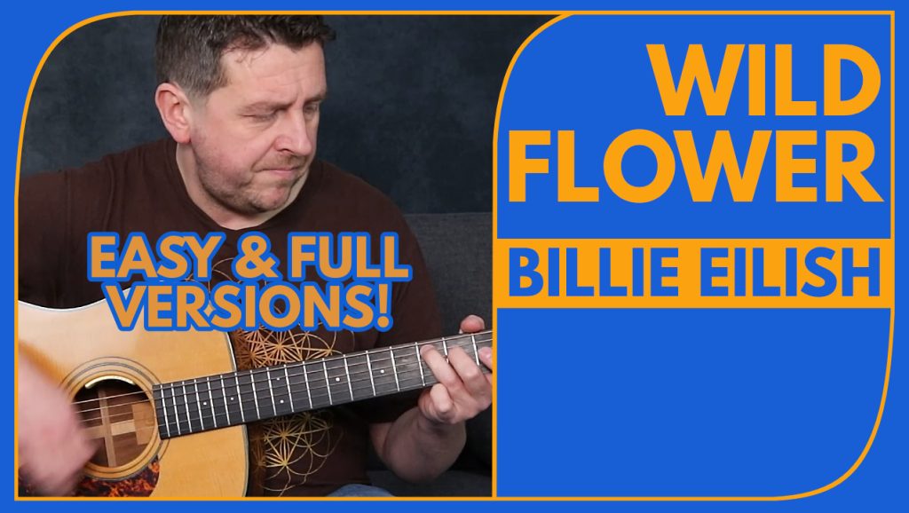 Wildflower - Guitar Lesson - Billie Eilish - How To Play - Drue James